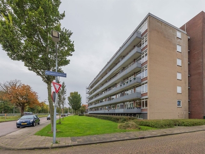 Van Leeuwenhoekstraat 8