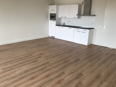 Appartement te huur Dommelstraat, Den Bosch