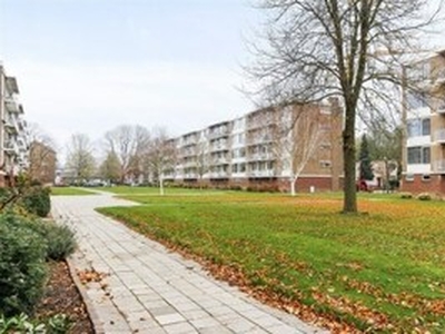 Appartement te huur in Dordrecht