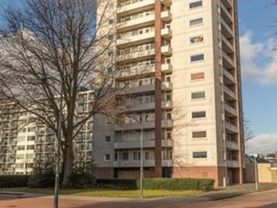 Appartement te huur in Haarlem