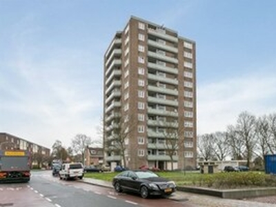 Appartement te huur in Haarlem