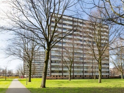 Roggekamp in 's-Gravenhage (32m2)