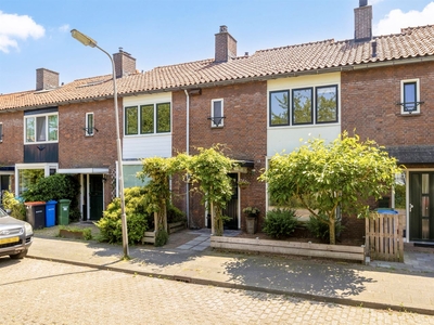 Swammerdamstraat 14