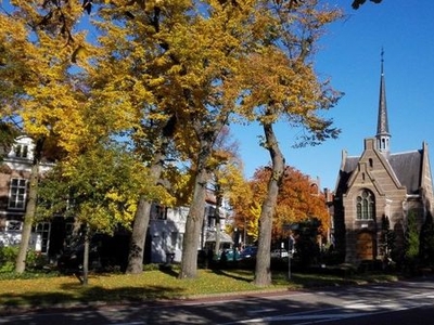 Waalreseweg in Valkenswaard (75m2)