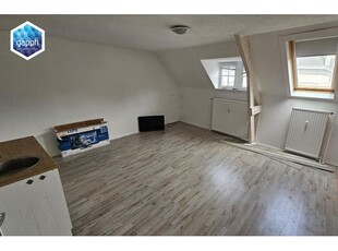 Huur 1 slaapkamer appartement van 25 m² in 's-Hertogenbosch