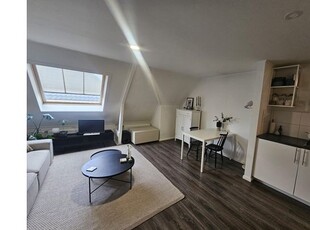 Huur 1 slaapkamer appartement van 50 m² in Enschede