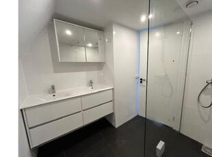 Huur 1 slaapkamer appartement van 60 m² in Terneuzen