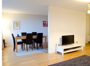 Huur 2 slaapkamer appartement van 105 m² in Den Haag