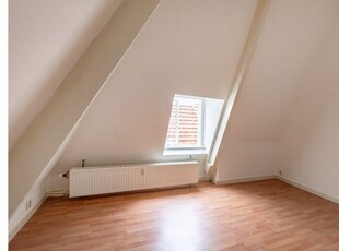 Huur 2 slaapkamer appartement van 54 m² in Den Haag