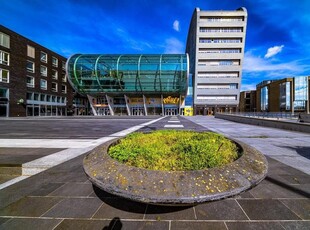 Portiekflat Rijngraafstraat, Breda huren?