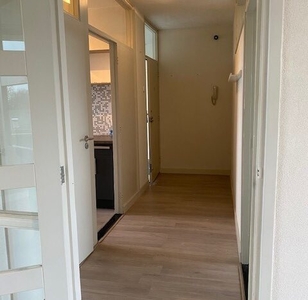 Appartement in Eindhoven met 3 kamers