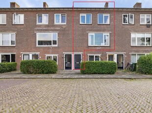 Adriaan van Ostadestraat 6