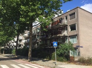 Appartement in Amsterdam met 3 kamers