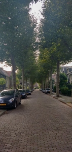 Botenmakersstraat in Zaandam (120m2)