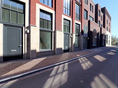 Chisinaustraat in Utrecht (124m2)