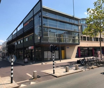 Schilderhof in Almere (98m2)