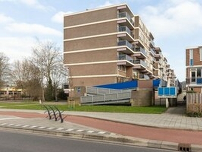 Appartement te huur in Haarlem