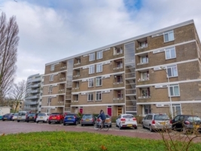 Appartement te huur in Leiden