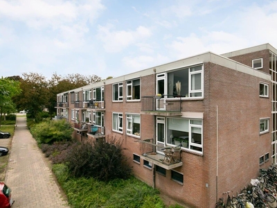 Berkenlaan in Zutphen (73m2)