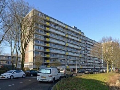 De Brink in 's-Gravenhage (85m2)