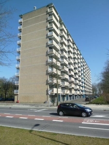 Jan Vermeerstraat in Venlo (50m2)