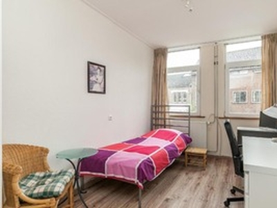 Kamer te huur in Schiedam