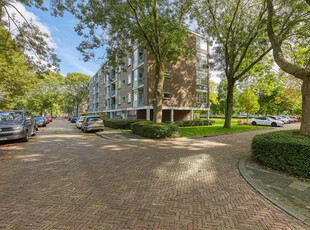 van Leeuwenstraat 103