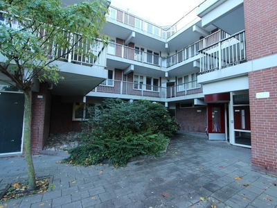 Achterwerf in Almere (62m2)