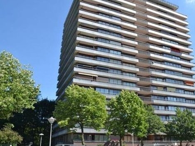 Livingstonelaan in Utrecht (100m2)