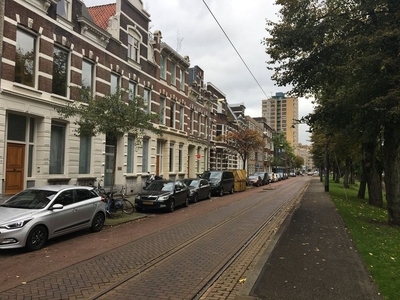 Noordsingel in Rotterdam (118m2)