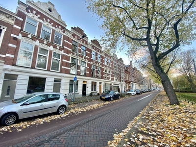 Noordsingel in Rotterdam (20m2)