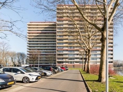 Oost-Dorsch in Zaandam (84m2)