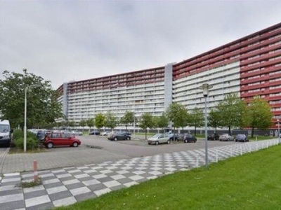 Perim in Zaandam (75m2)