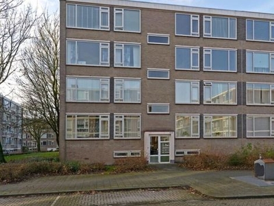 Quadenoord in Rotterdam (70m2)