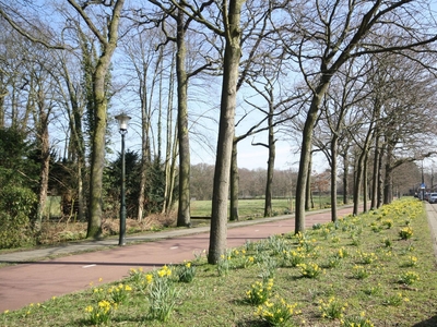 Thérèse Schwartzestraat in Den Haag (73m2)