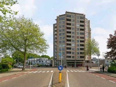 Vrijheidslaan in Leiden (80m2)