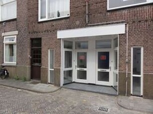 Benedenwoning te huur in Alkmaar