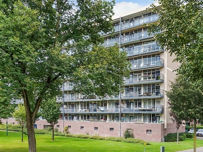 Goudvinklaan 46