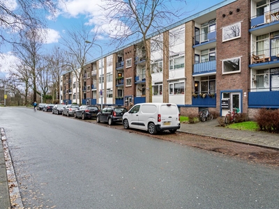 Moesstraat 144