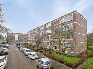 Wilbertoord 134, Rotterdam