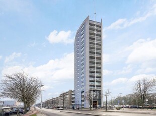 Troelstrakade 41A, Den Haag