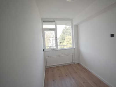 Appartement Rotterdam - Bollandstraat