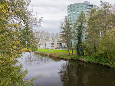 Zaandam - Bloemgracht