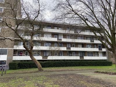 Kroesmeestersdreef in Maastricht (61m2)