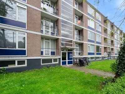 Quadenoord in Rotterdam (60m2)