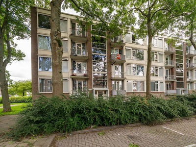 Wilbertoord 293