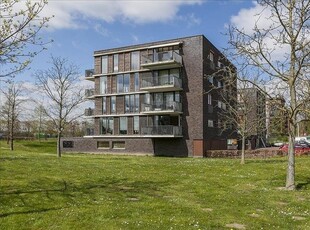 Tussenverdieping Grasbaan, Eindhoven huren?