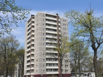 Appartement te huur in Haarlem