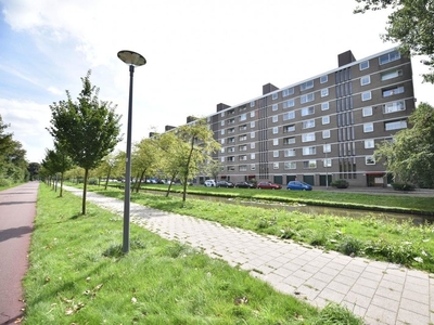 Cornelis Bloemaertsingel in Rotterdam (88m2)