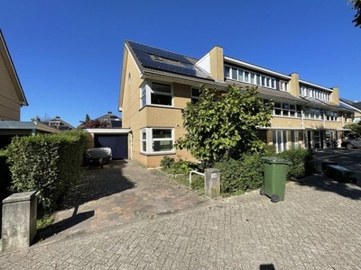 Zeepkruid in Amersfoort (41m2)